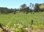 landsdowne-coopernook 016